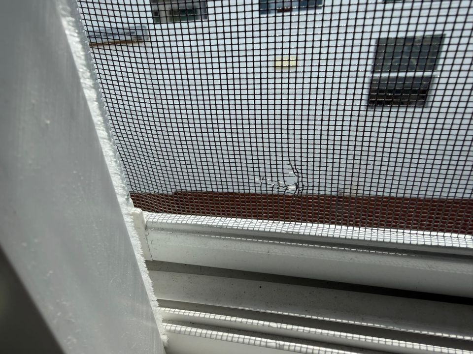 Torn window screen with visible rip damage near bottom edge from tree branch contact