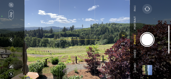 How to take a good reference photo