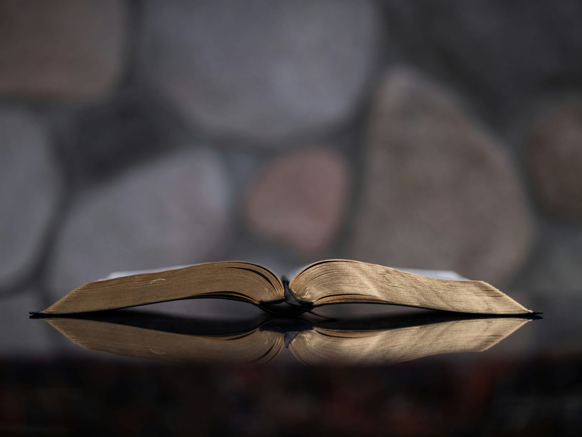 51｜The Fruit of a Christian: How to Identify One Who Truly Belongs to Christ