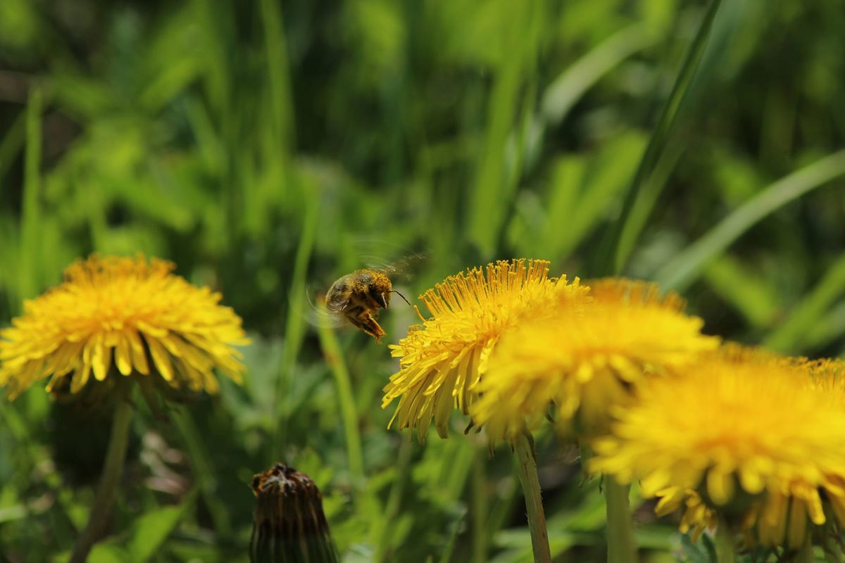 68｜Our Attitude Toward the Environment