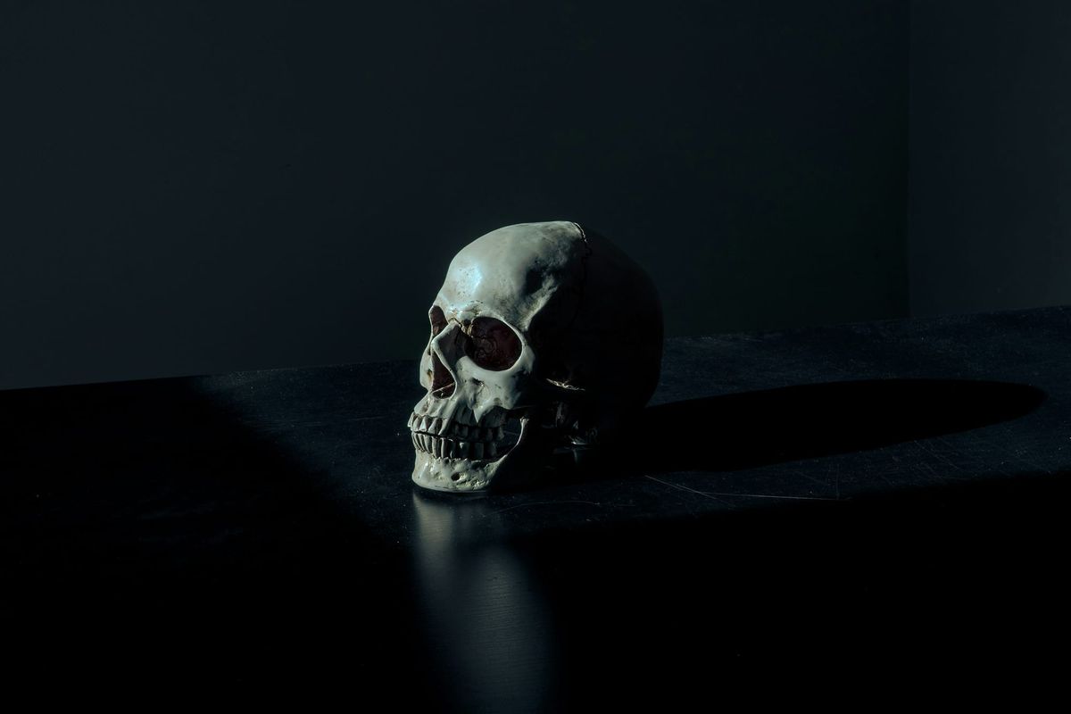 08 | Death: An Inherent Property of the Particulate World