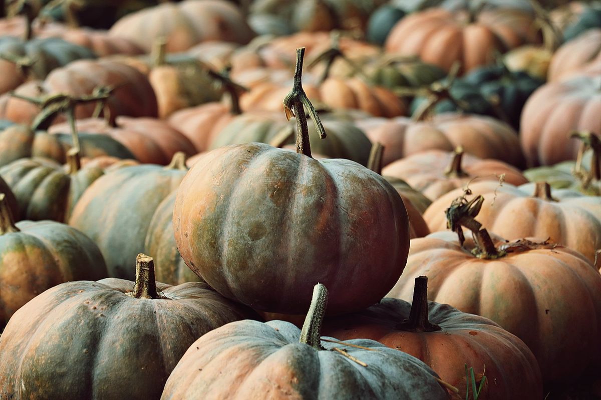 30 | Abundance Theory: Scarcity from Separation