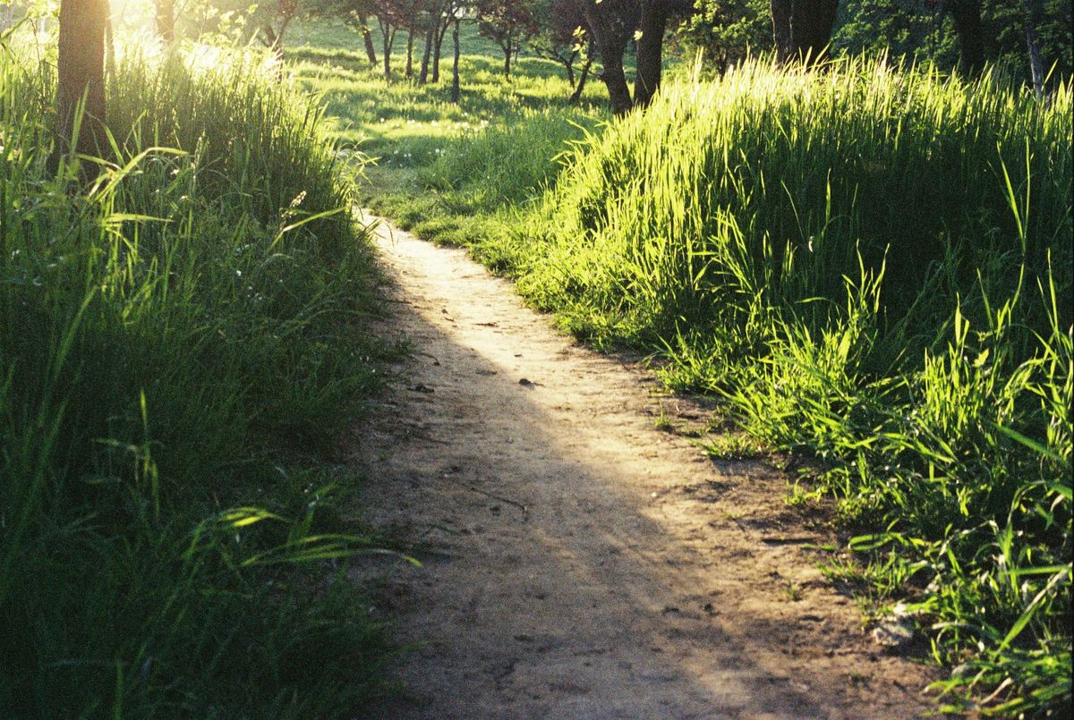 20.3 | God Is Not a "Patcher"; God Is a "Path-Maker"