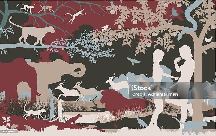 The Collapse of Eden and the Birth of the Physical Life