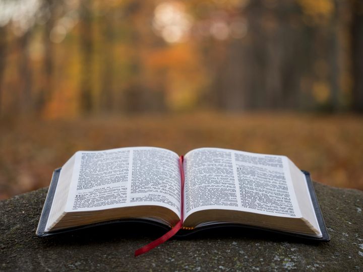 25.1 ｜Section 1  God’s Original Plan