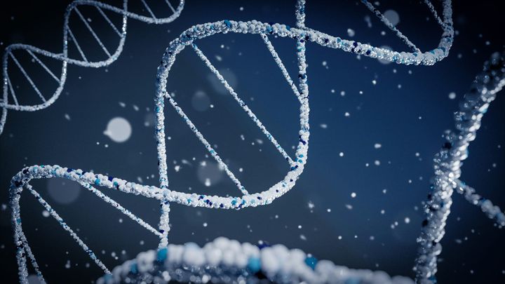 09 | Science and Analogy: The Finite Means of Approaching the "Logos"