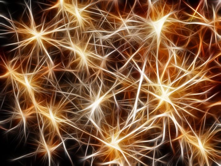 3.1 | Value: The Efficacy of Connection