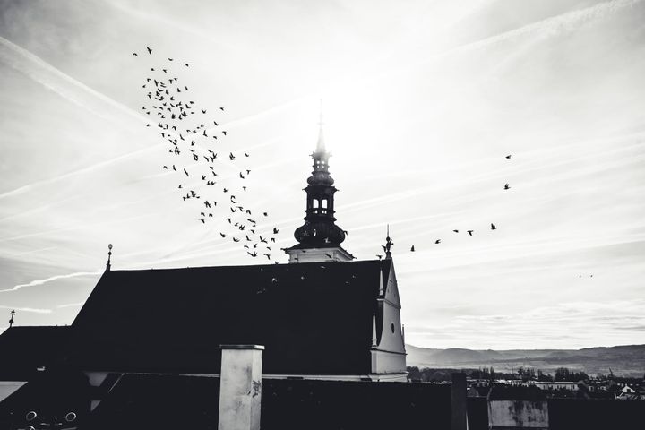 67｜Faith: The Mode of Cognition Most Proximal to Truth