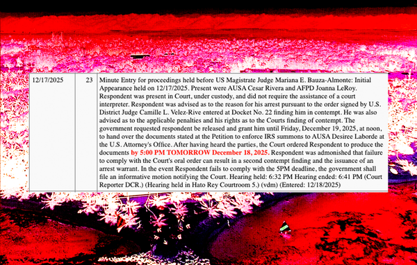 Act 22 Investor Arrested for Not Showing Up to Court. Later Released and Given Deadline to Hand Over Tax Documents