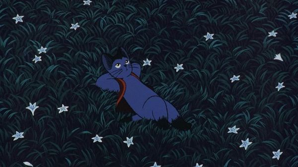 Weather Report #45: Downfall of Oranges and AI Conspiracy Theories