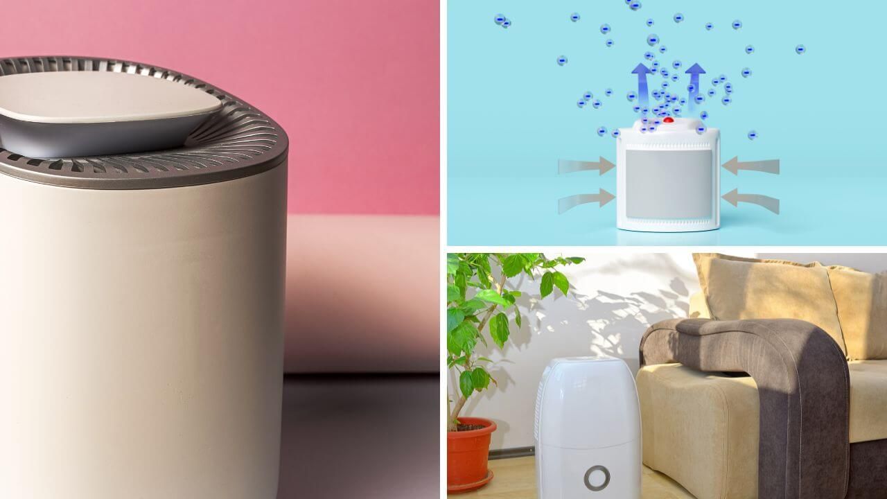 best dehumidifier for allergies