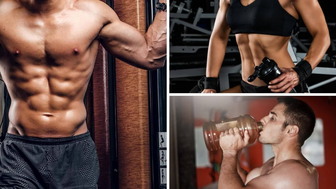 best pre workout supplements for beginners