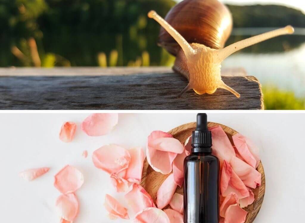 best snail mucin