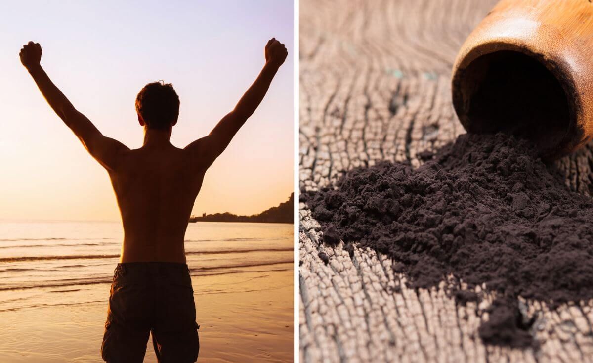 shilajit powder