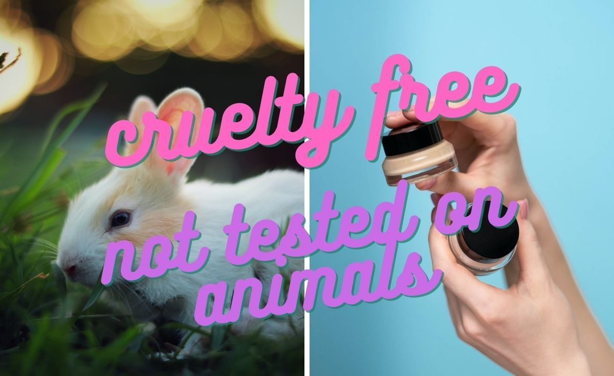 best cruelty-free concealer