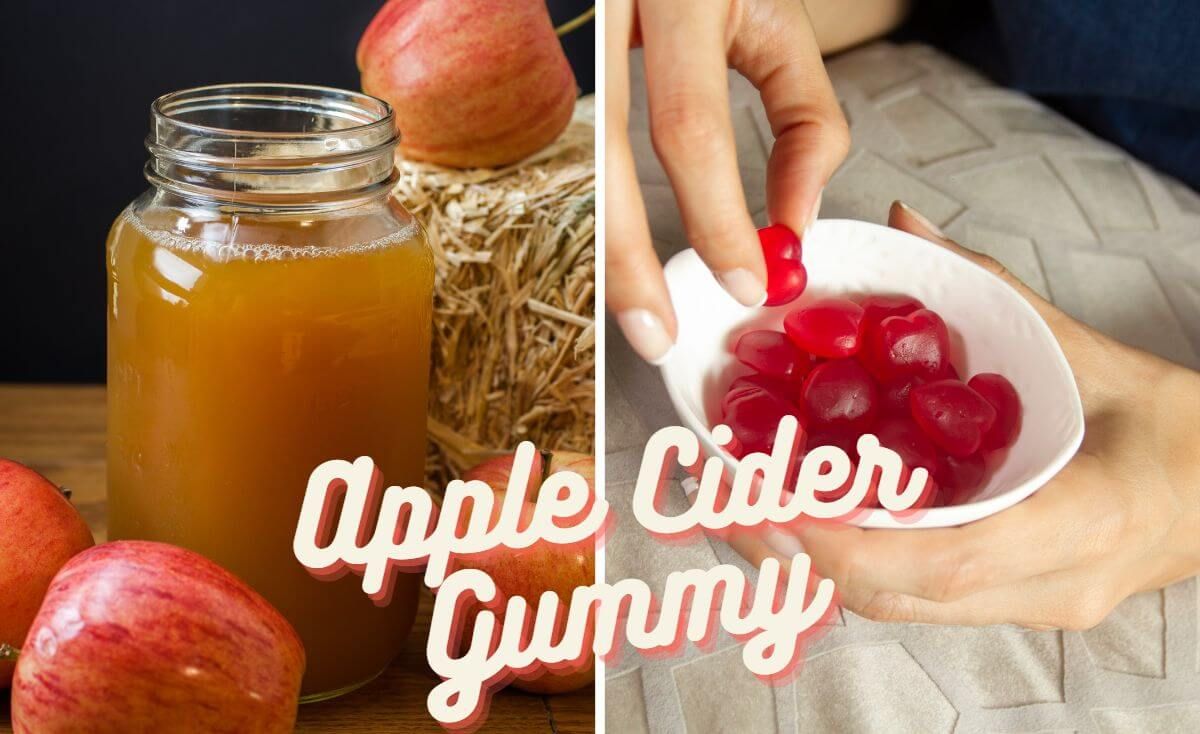 best apple cider gummy