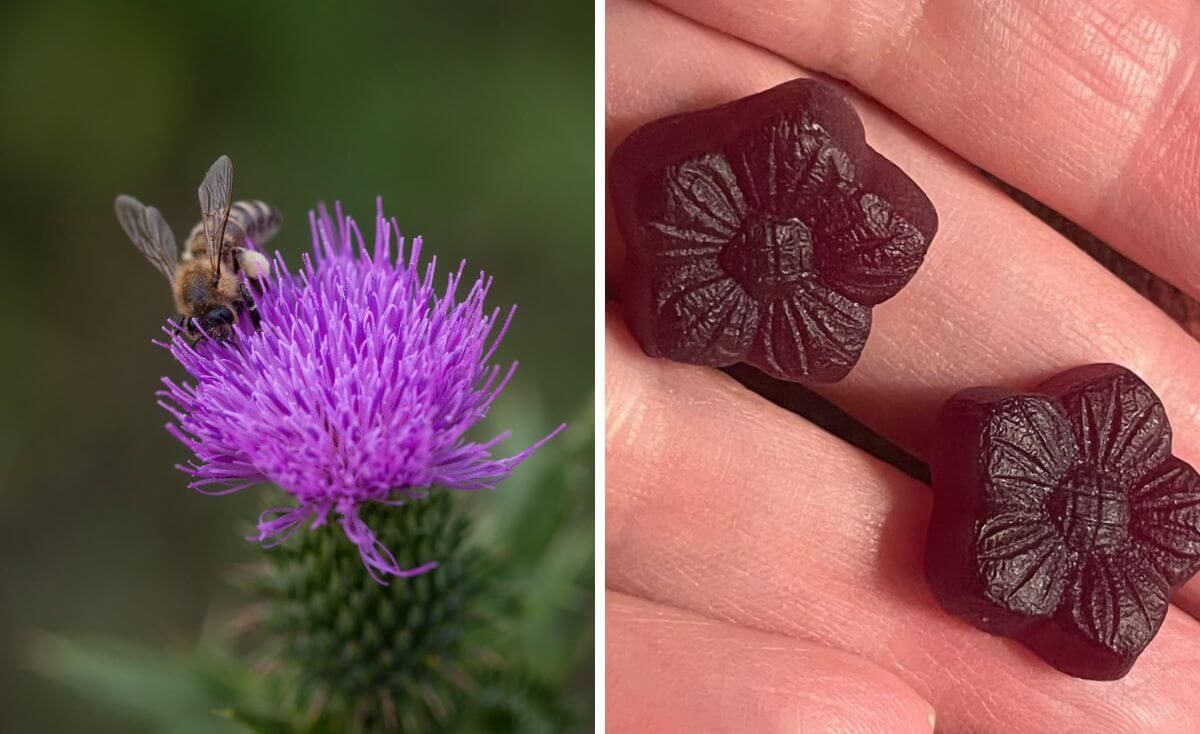 Best Milk Thistle Gummy