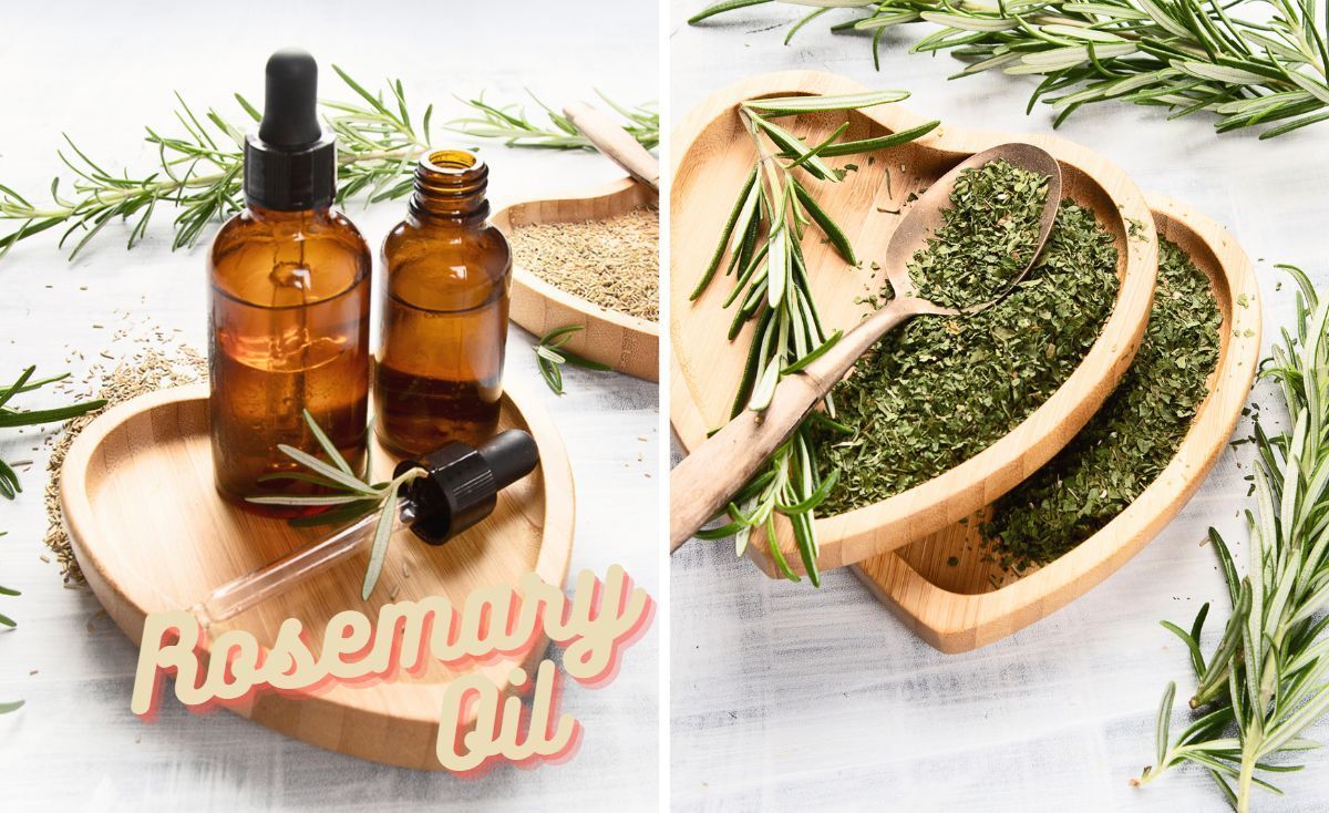 rosemary oil