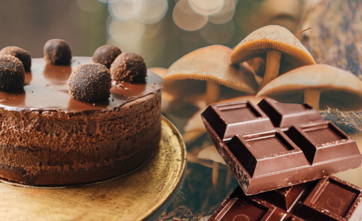 psilocybin chocolate