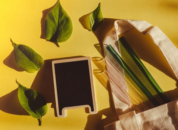 Eco-Friendly Alternatives: The Best Glass Straws to Choose