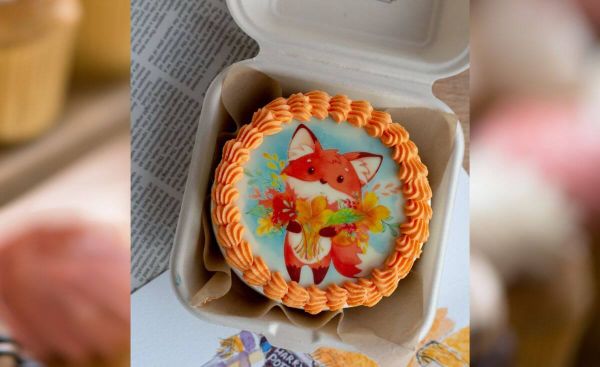 Perfect Your Bento Cake Making Skills With These Essential Amazon Products