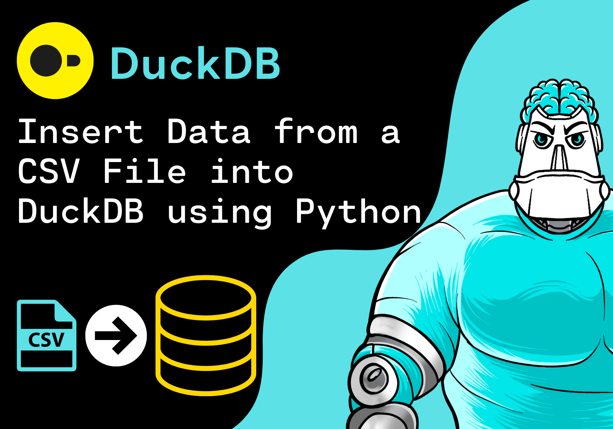 Insert Data from a CSV File into DuckDB using Python