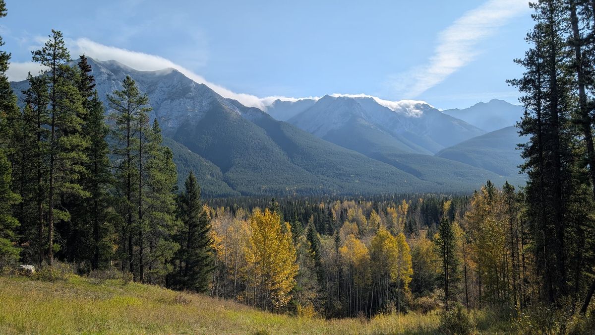 Discover the Magic of Autumn in Kananaskis: A Family Road Trip Adventure