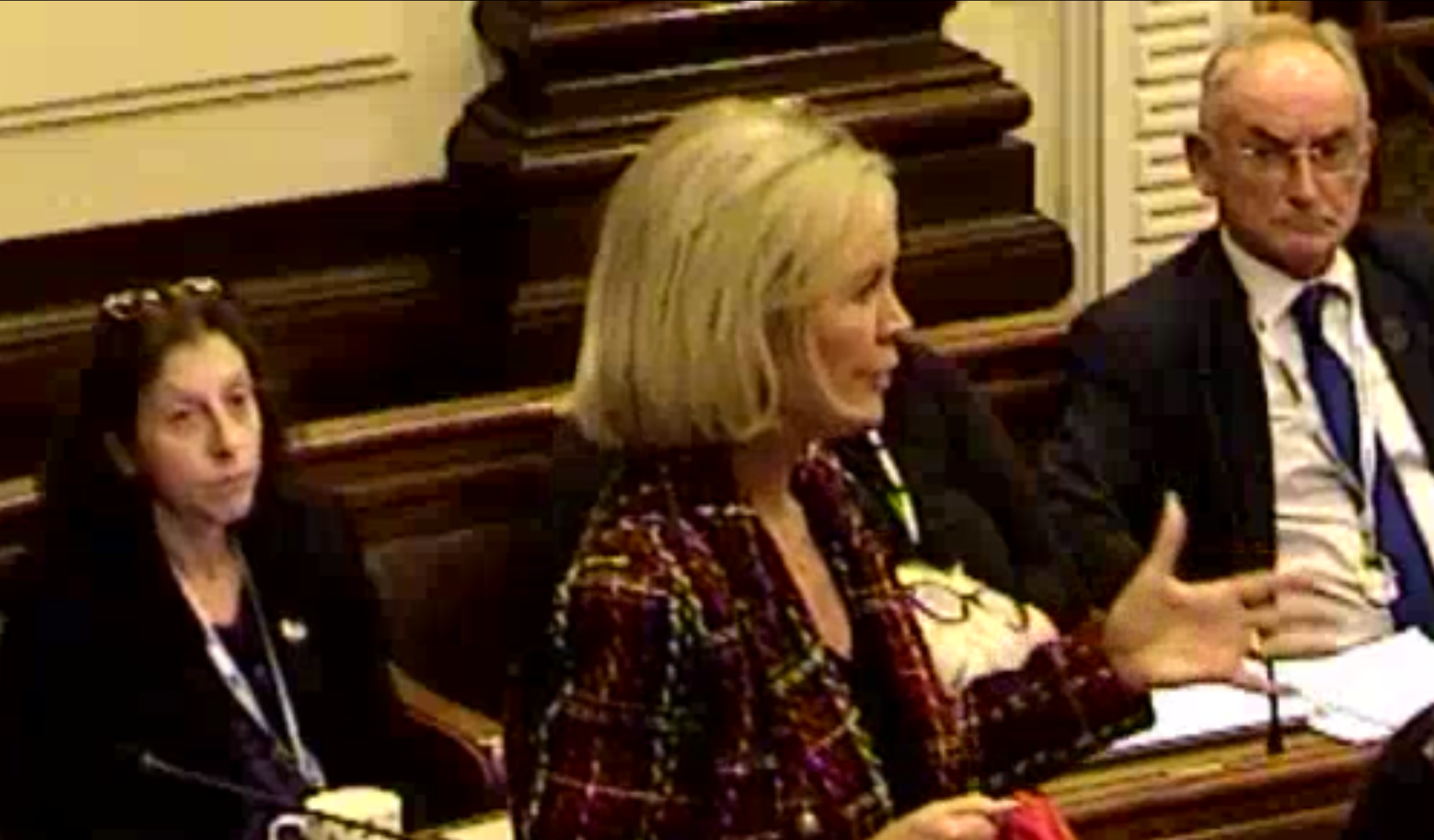Image of council leader Paul Basnett speaking at the meeting