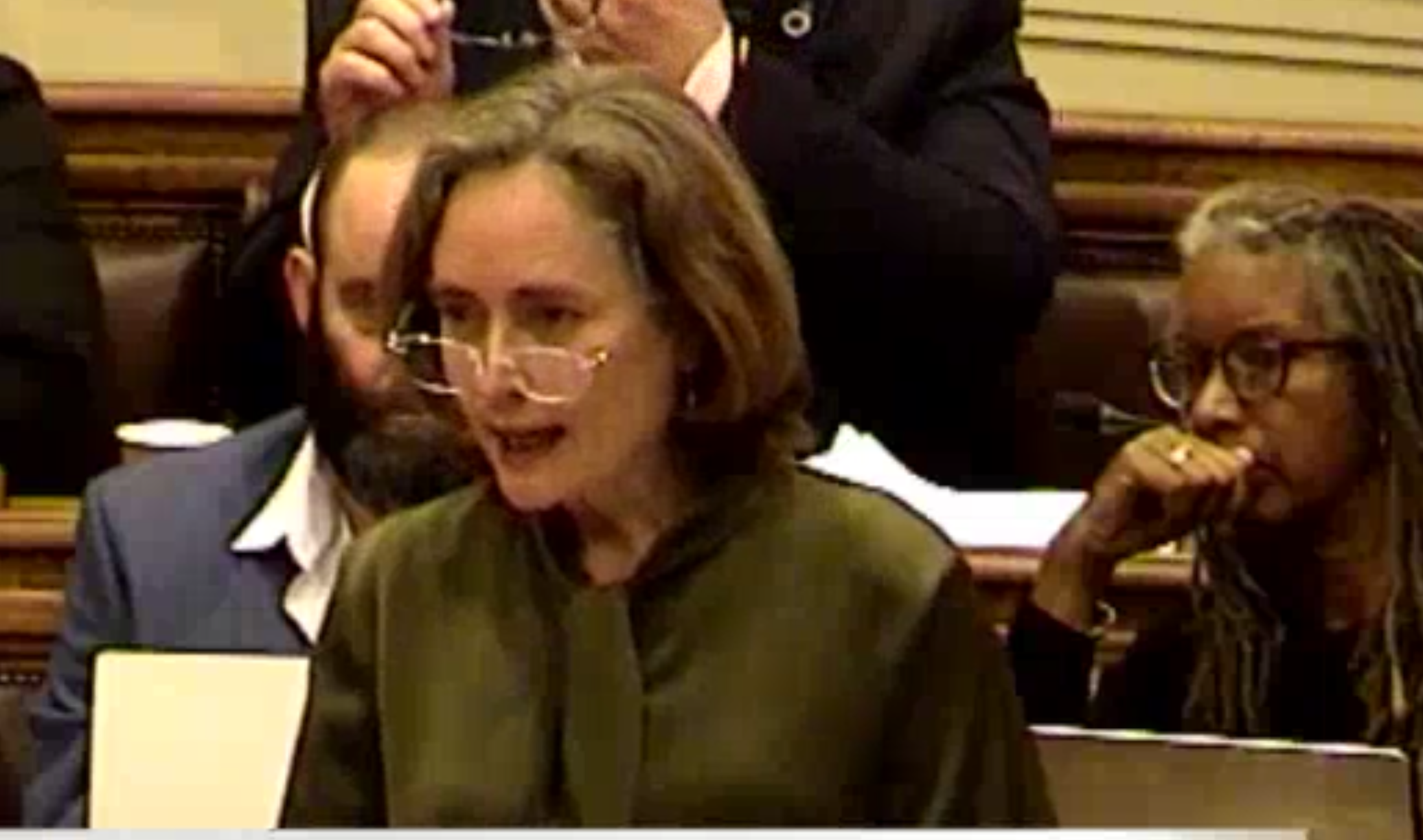 Screenshot from Wirral council video of Cllr Bird speaking at the meeting. She is standing and mid speech, behind her sit Green councillors.