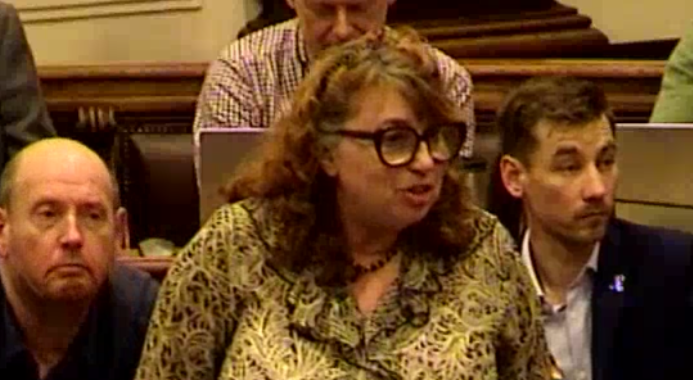 Screenshot Image from Wirral council video of Cllr Jenkinson speaking at the meeting. Behind her, seated, are three Green councillors.