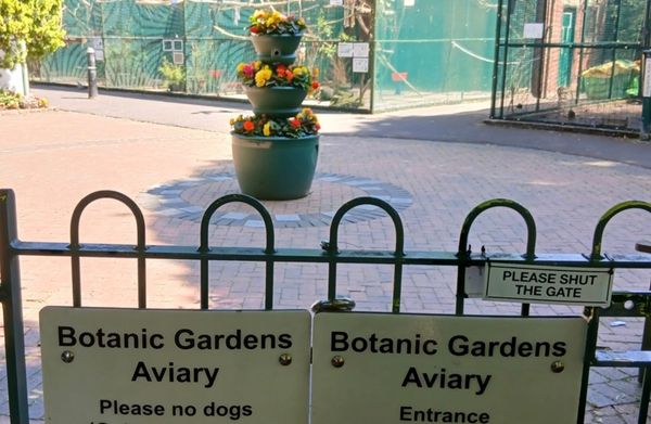 The budget line that sealed Southport aviary’s fate