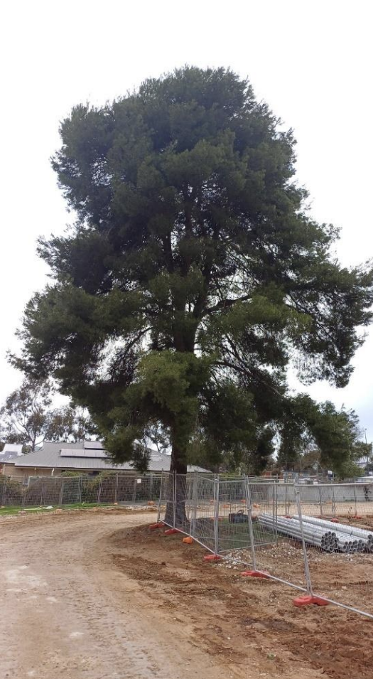 The Barossa Council meeting round up, September 17