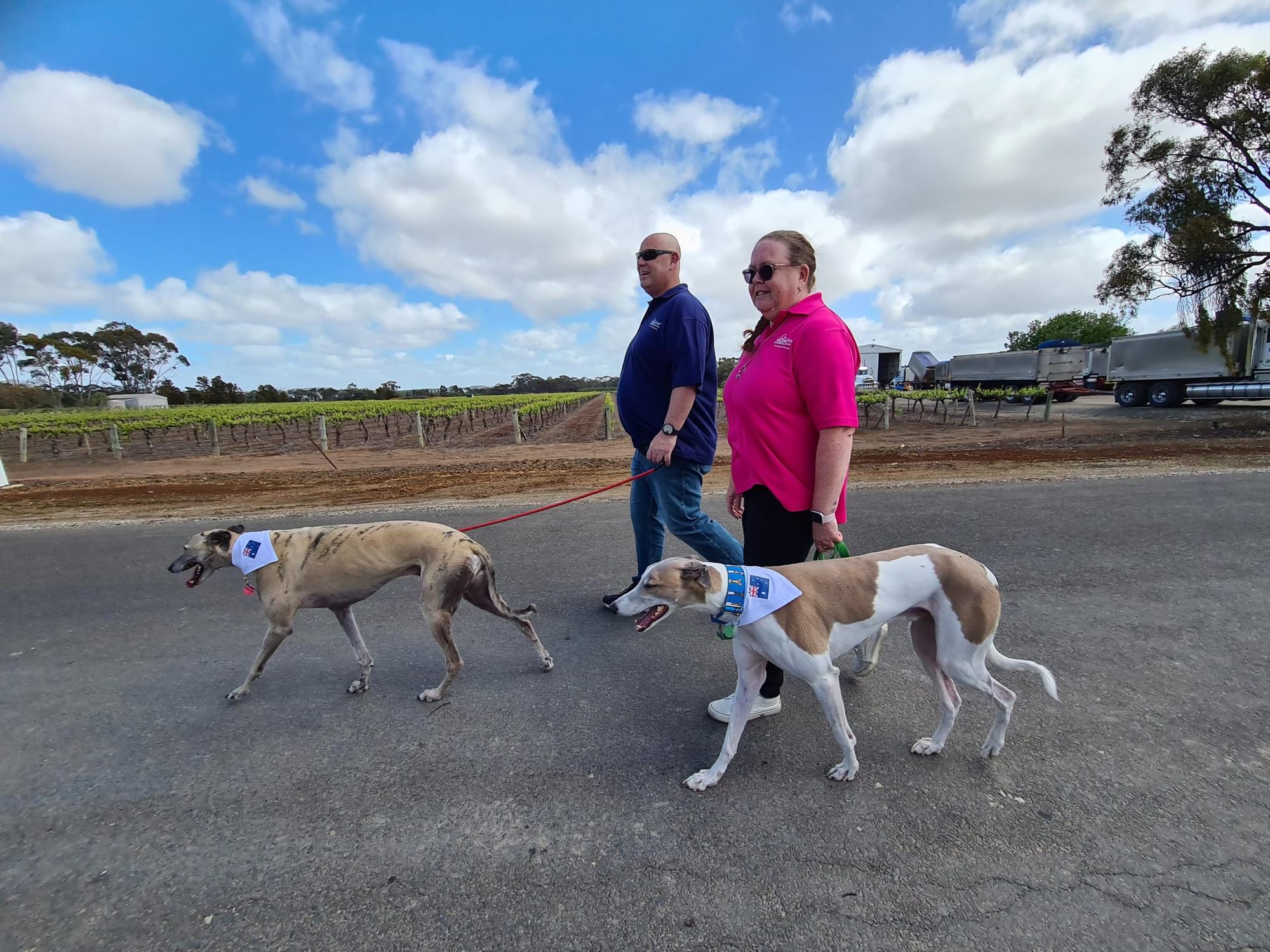 Global Greyhound walk