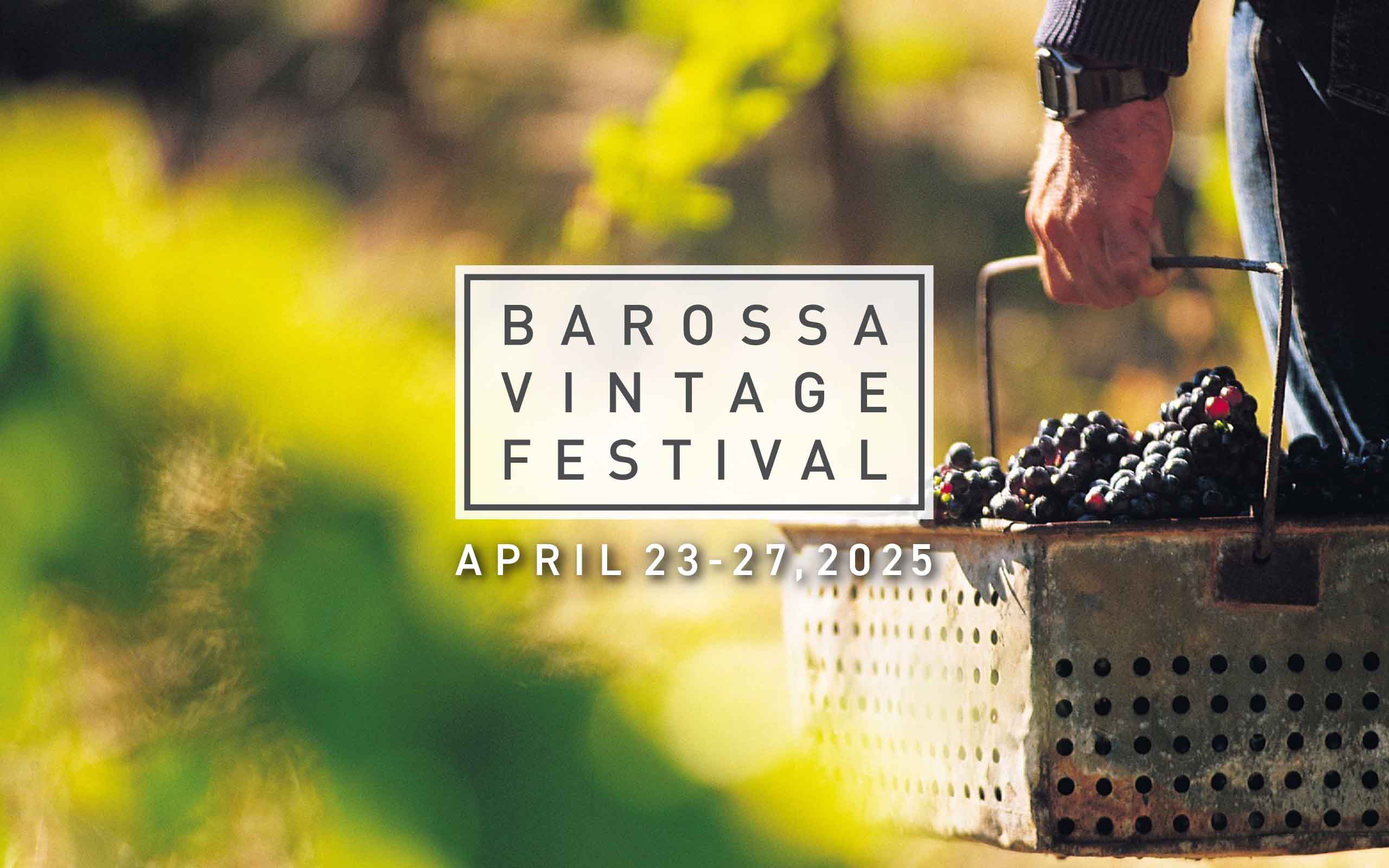 Introducing the 2025 Barossa Young Ambassadors