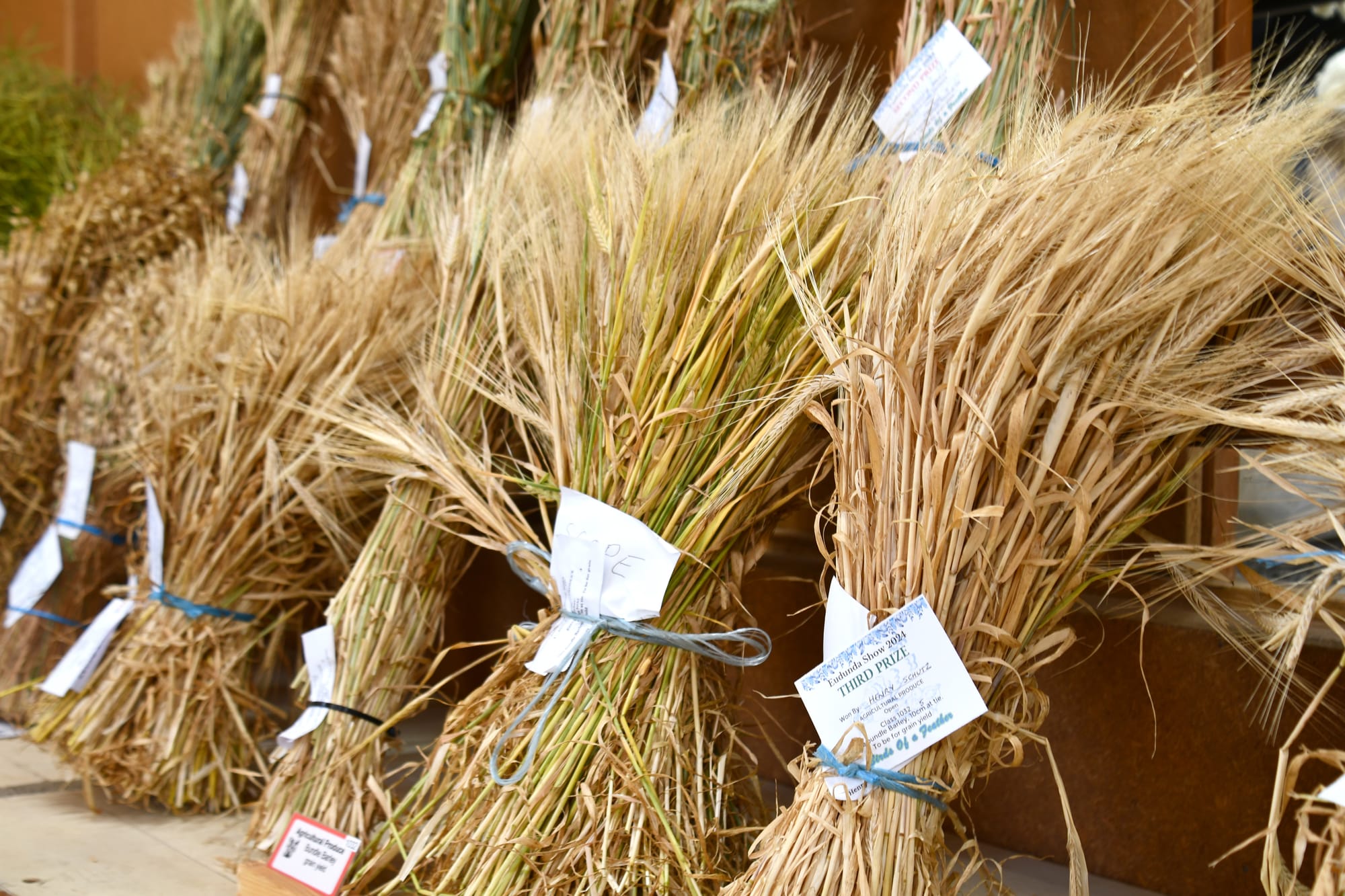 2024 Eudunda Show Results