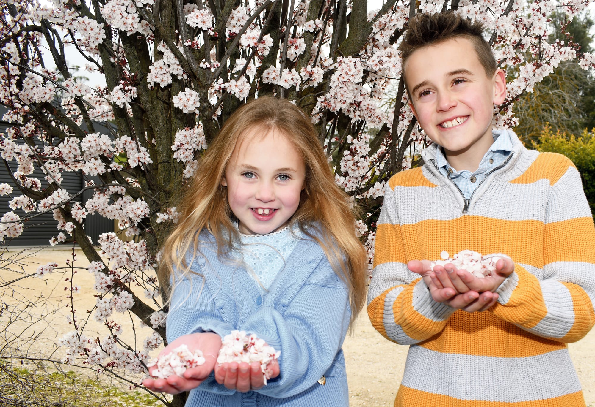 Spring has blossomed!