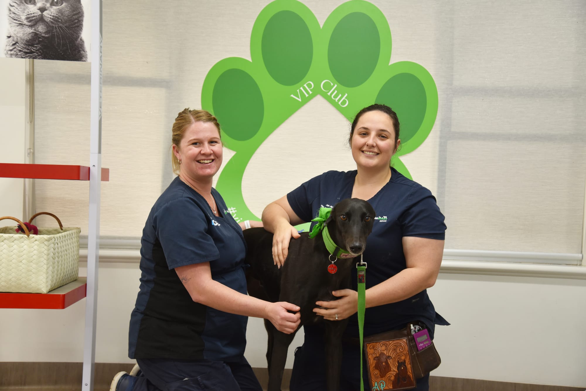 Keeping your pets safe from bait