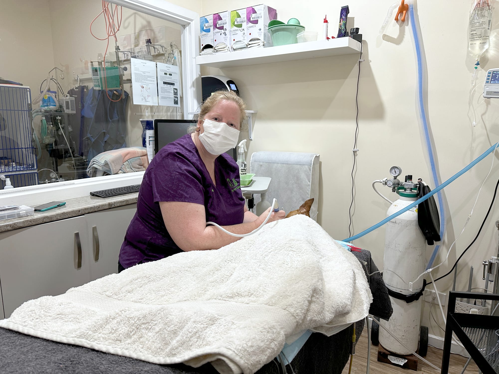 “If you don’t know, please don’t try!” says local veterinarian