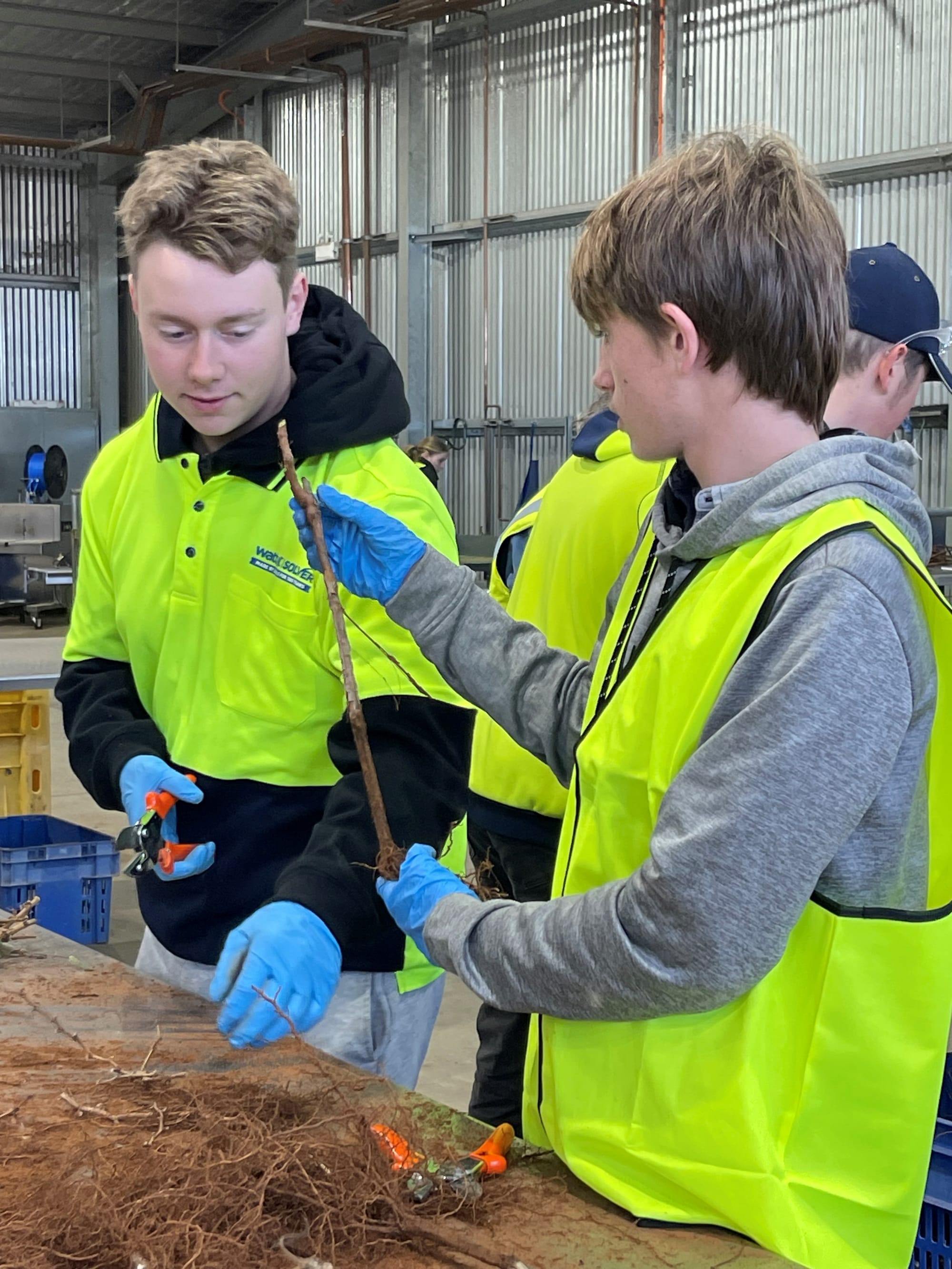 On the Land: Barossa viticulture apprenticeships training the future
