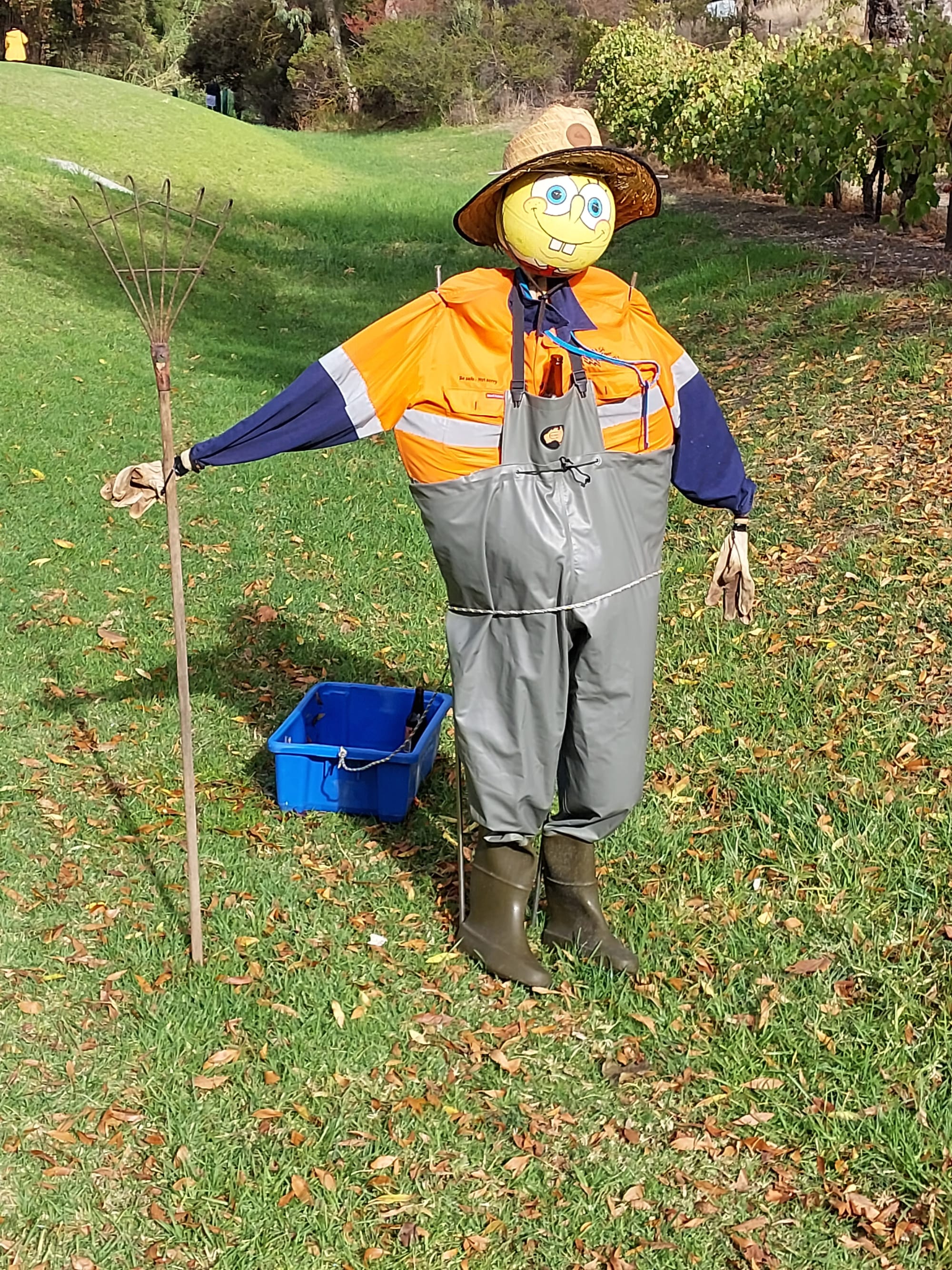 A farmer at Angaston.