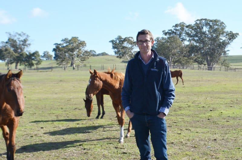 SA’s racing industry at risk