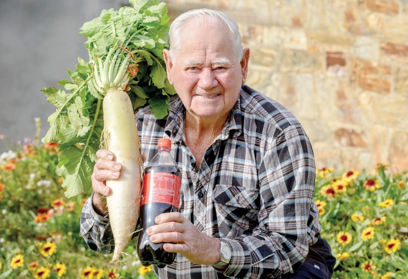 Hefty radish has Merv reminiscing