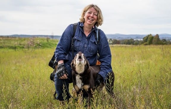 K9s to the search and rescue