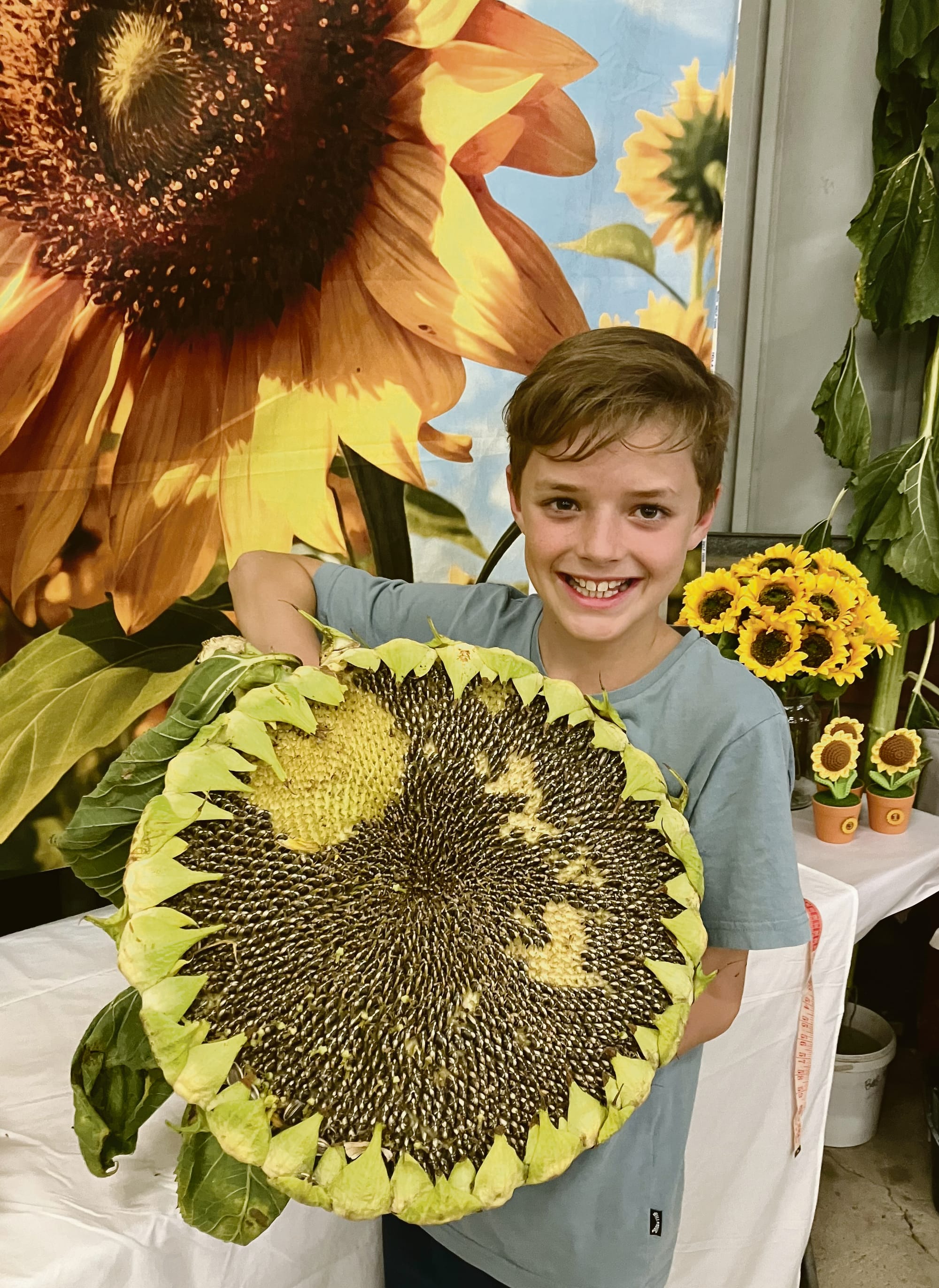 Tanunda Show competition heats up