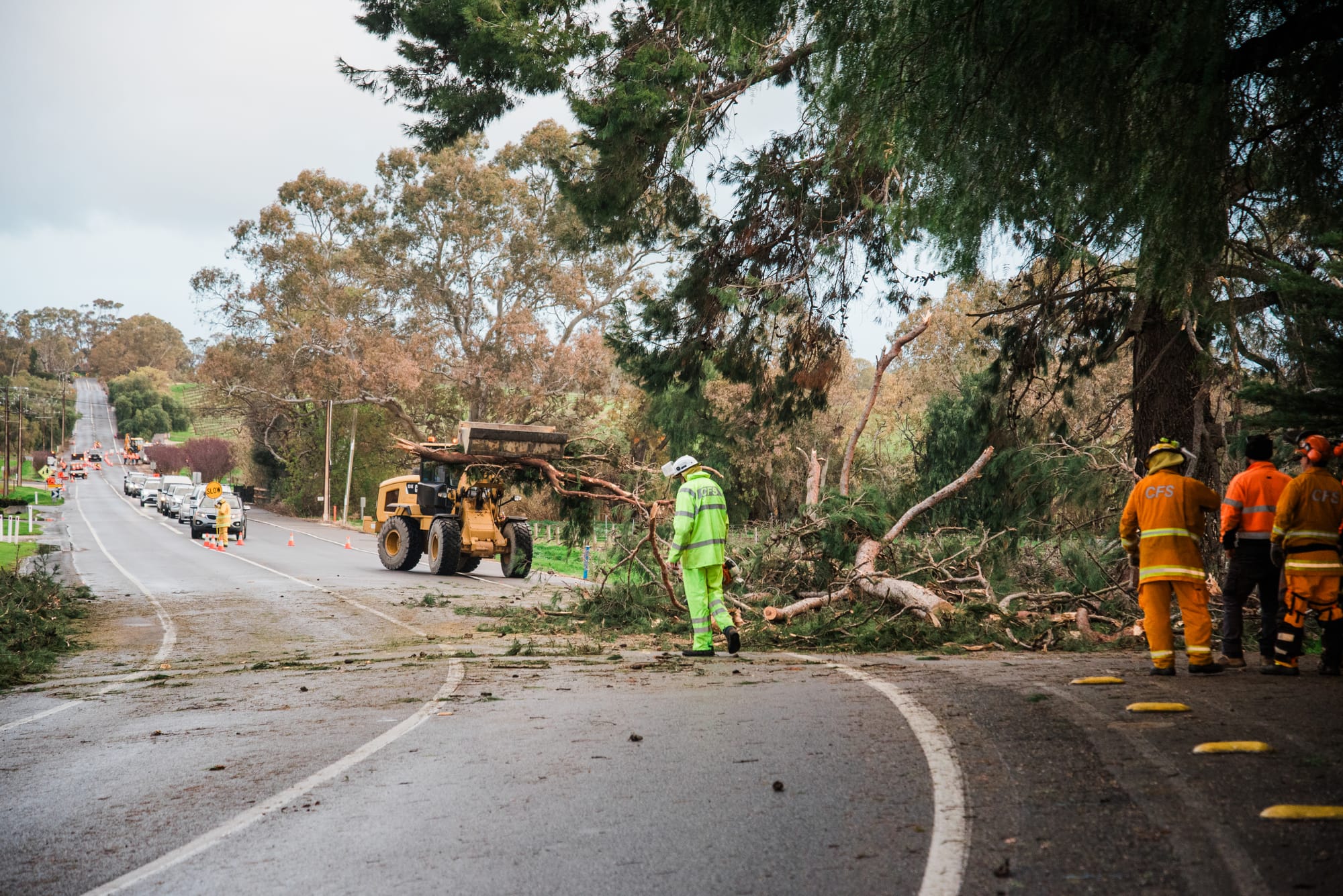 Windy weather lashes the Barossa