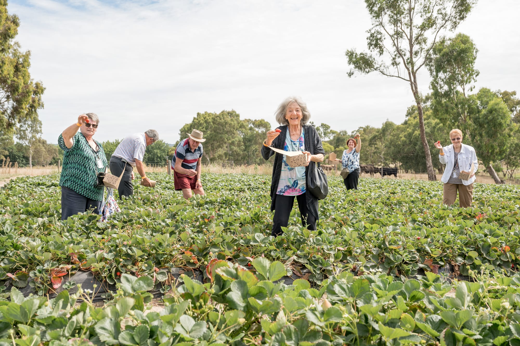 Embracing Social Connection