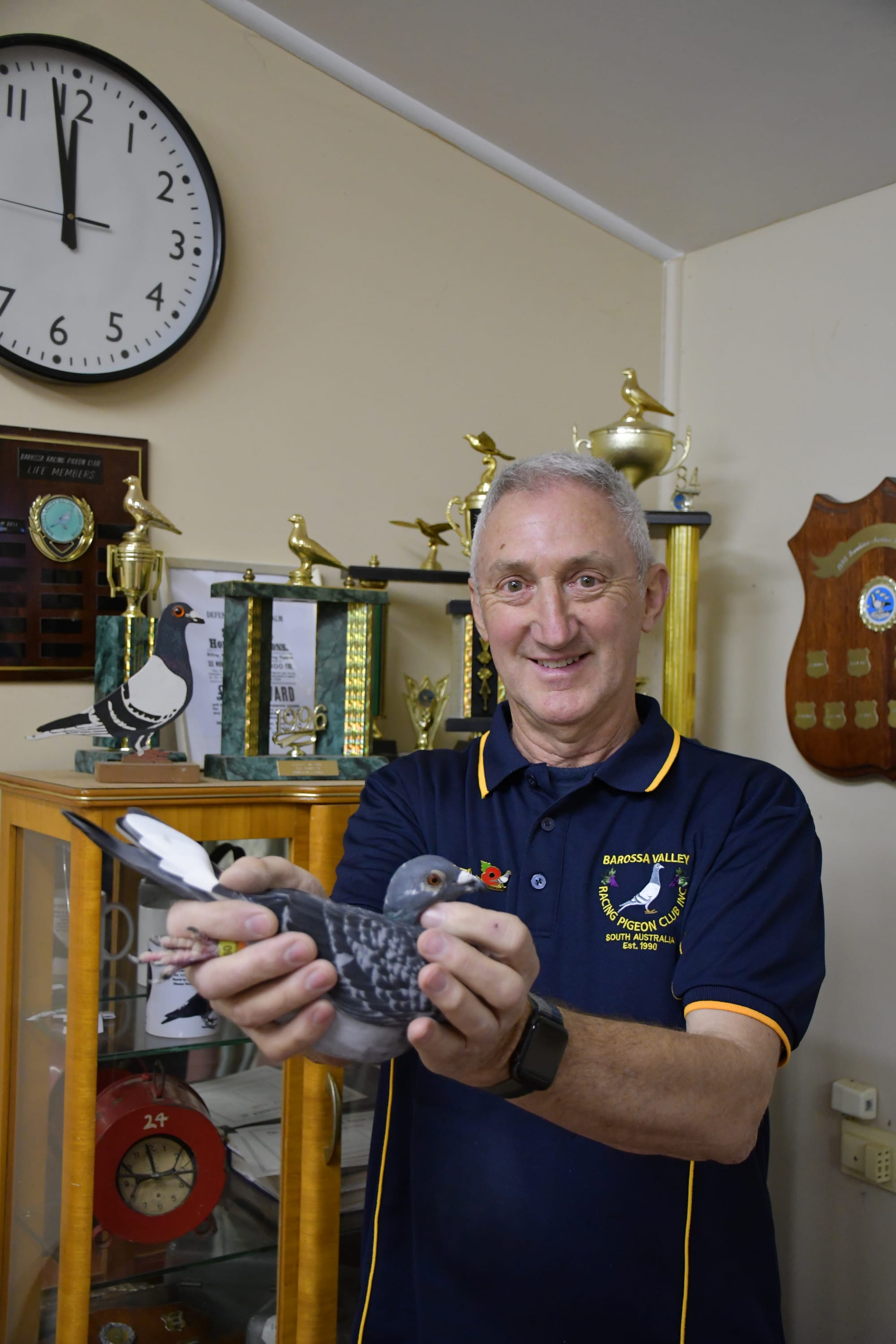 Racing pigeons – thoroughbreds of the sky