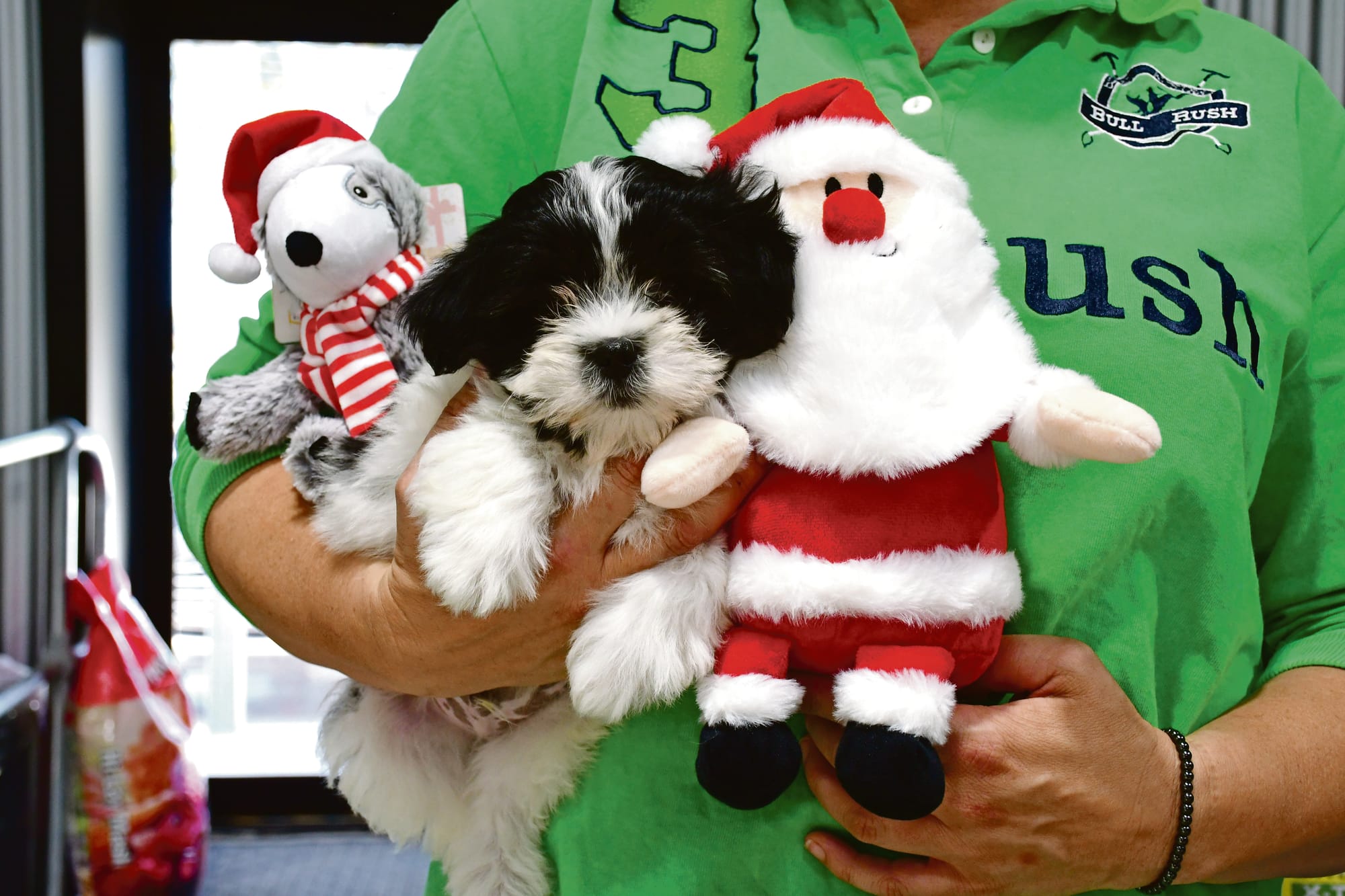 All wrapped up and ready for Christmas