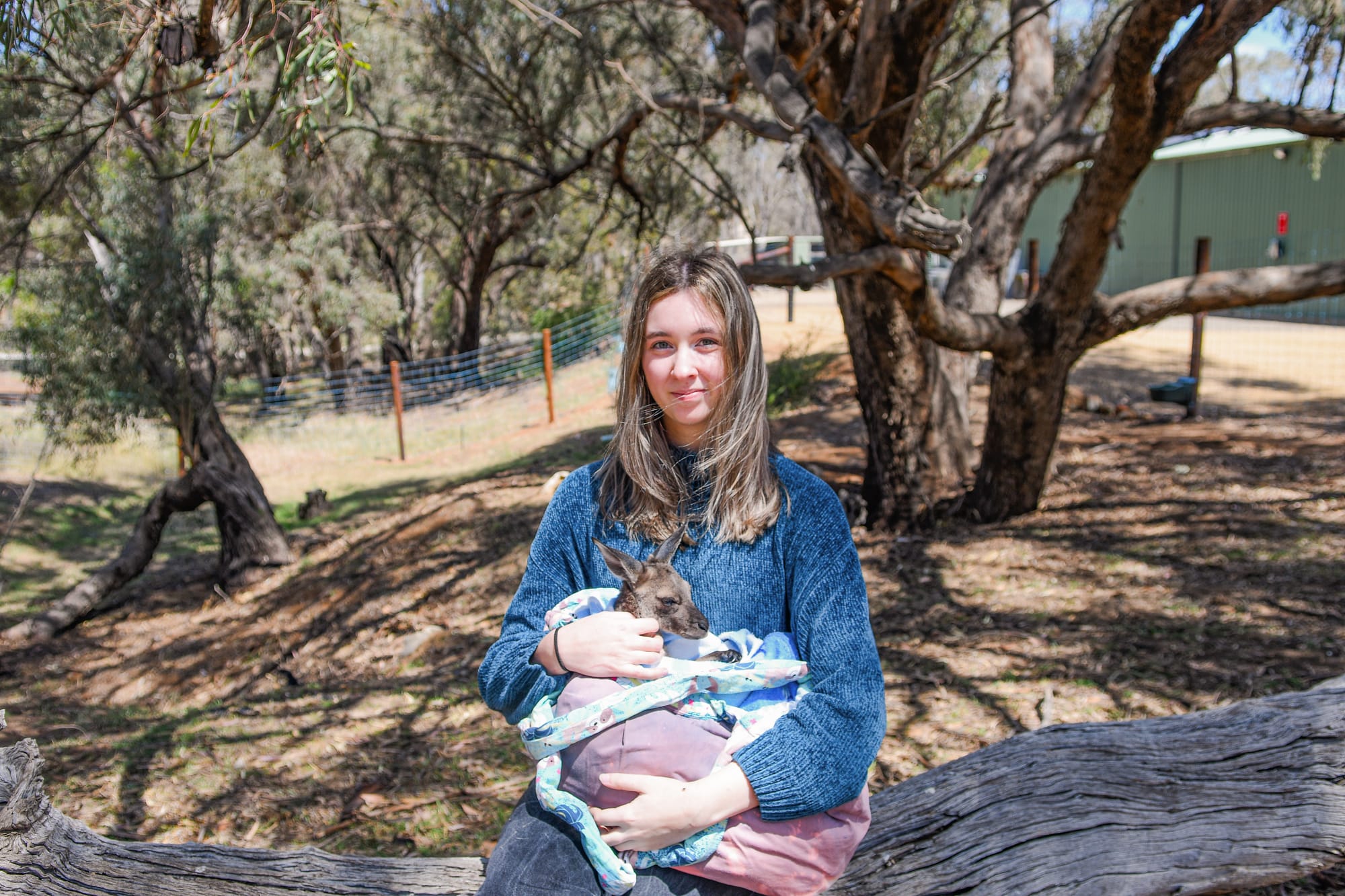 Wildlife sanctuary soon to open