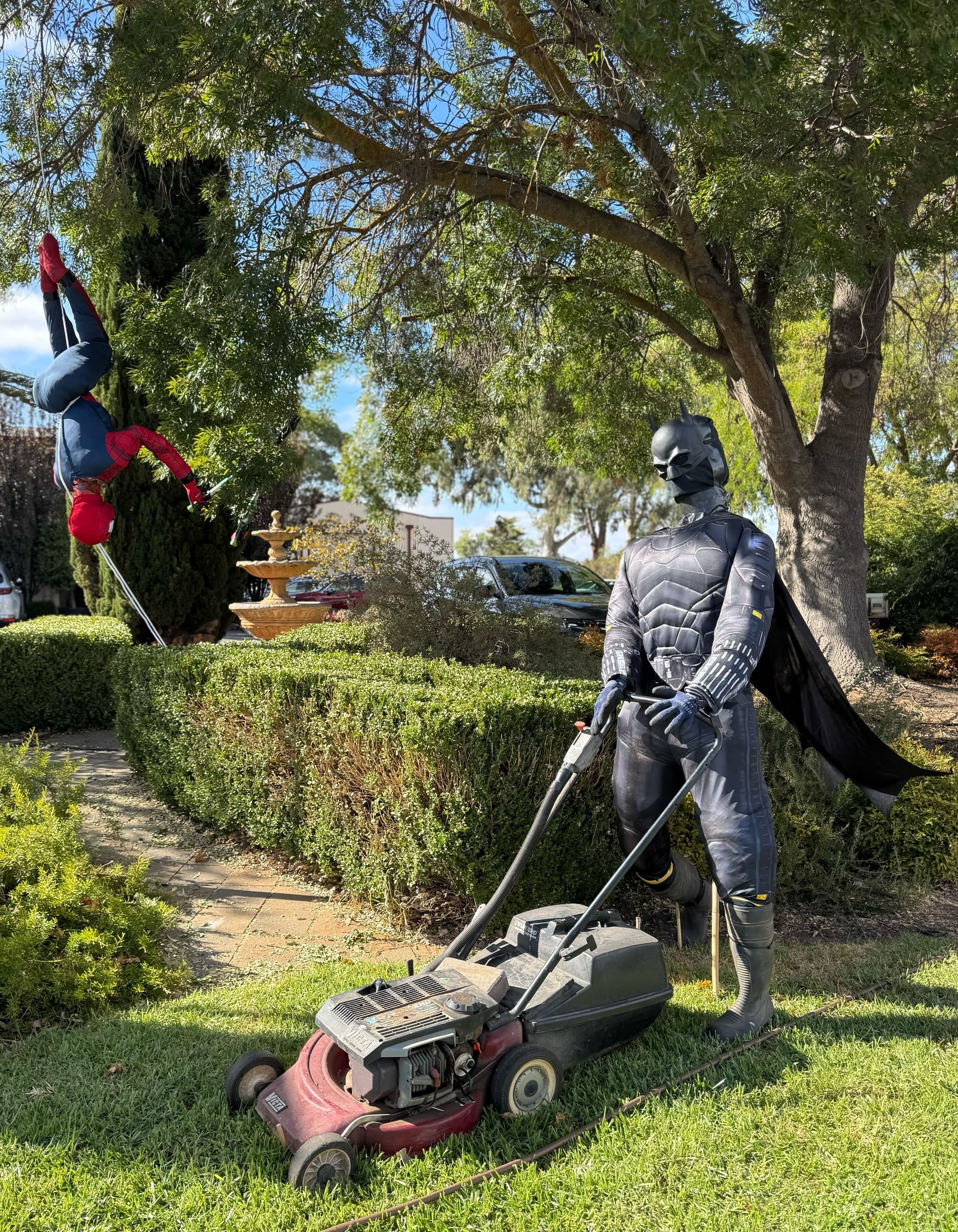 Gardening superheroes, Barossa Nursery.
